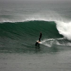 Meet your Posher, Scott